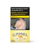 Camel Filters 100s 10*20